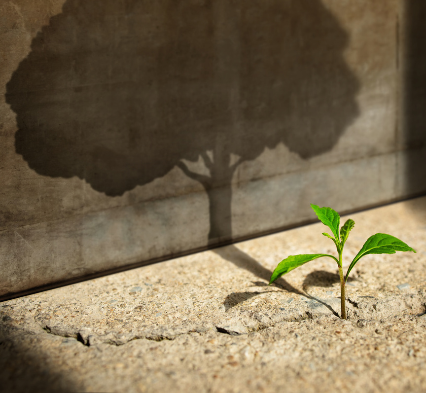 Coach mindset pour développement personnel